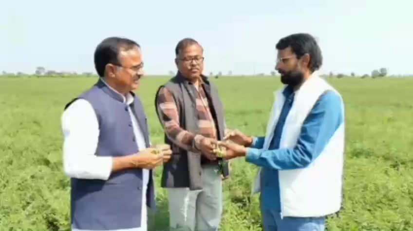 पिपरई: विधायक ने कृषि वैज्ञानिकों के साथ चुगलयाई गांव में फसलों का निरीक्षण किया