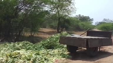ఉదయగిరి: లింగసముద్రం మండలం గంగపాలెం గ్రామ సమీపంలో ట్రాక్టర్ బోల్తా ఇద్దరు మృతి
