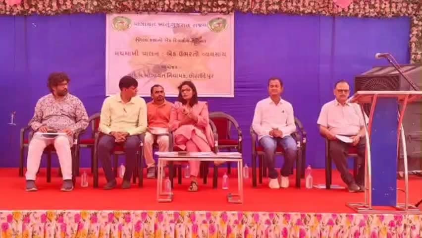 સંખેડા: સિંહાન્દ્રા ખાતે મગમાંખી પાલન એક ઉભરતો વ્યવસાય પર ખેડૂત સેમિનાર યોજાઇ, જિલ્લા કલેકટર ઉપસ્થિત રહ્યા.