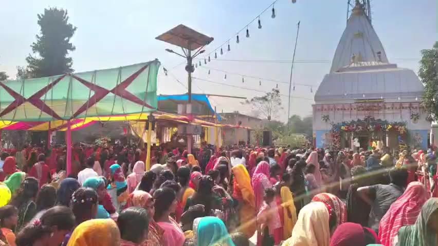 मनीगाछी: मनिगाछी प्रखंड के गांवों में महाशिवरात्रि पर शिवालयों में उमड़ी आस्था की भीड़, देर रात तक हुआ जलाभिषेक