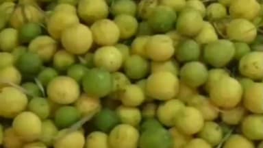 திருப்புவனம்: சிவராத்திரியை முன்னிட்டு எலுமிச்சை மற்றும் பூஜைப் பொருட்களின் விலை இருமடங்காக உயர்வு