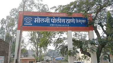 अक्कलकुवा: खोडी शिवारात वनपट्टे मोजणीच्या वादातून खून, मोलगी पोलिसात चौघांवर गुन्हा दाखल