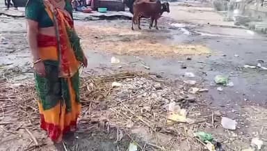 अंजड़: वार्ड 14, भोंगली नदी किनारे मृत मछलियां और कचरा फेंकने से ग्रामीणों में रोष