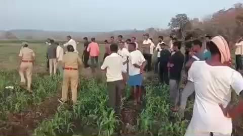 किनवट: दयाल धानोरा शेत शिवारात अस्वलाने केलेल्या हल्ल्यात दुसरा बळी,चंद्रसिंग चव्हाण यांचा उपचारादरम्यान मृत्यू i