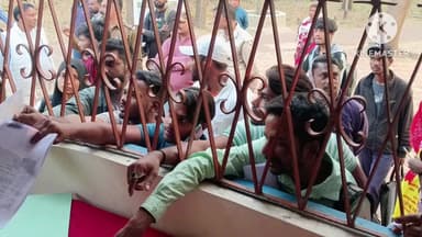 নিতুড়িয়া: দ্বিতীয় দিনেও নিতুড়িয়া ব্লকের যুবসাথী রেজিস্ট্রেশন ক্যাম্পে ব্যাপক ভিড়,ক্যাম্প পরিদর্শন করলেন প্রাক্তন বিধায়ক