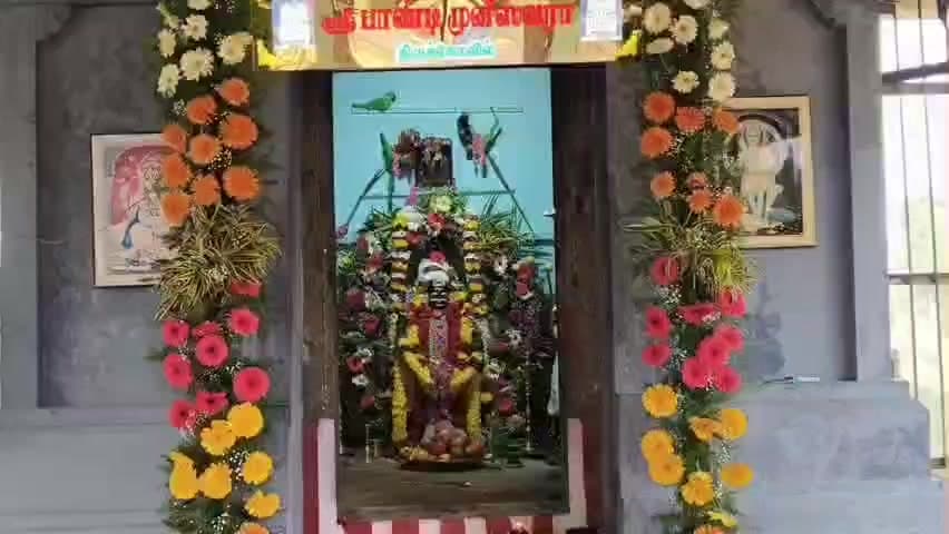 காரைக்குடி: காரைக்குடியில் சிவராத்திரி விழா: பாண்டி முனீஸ்வரர் கோயில்வில் 25 ஆடுகள் பலியிட்டு அசைவ விருந்து