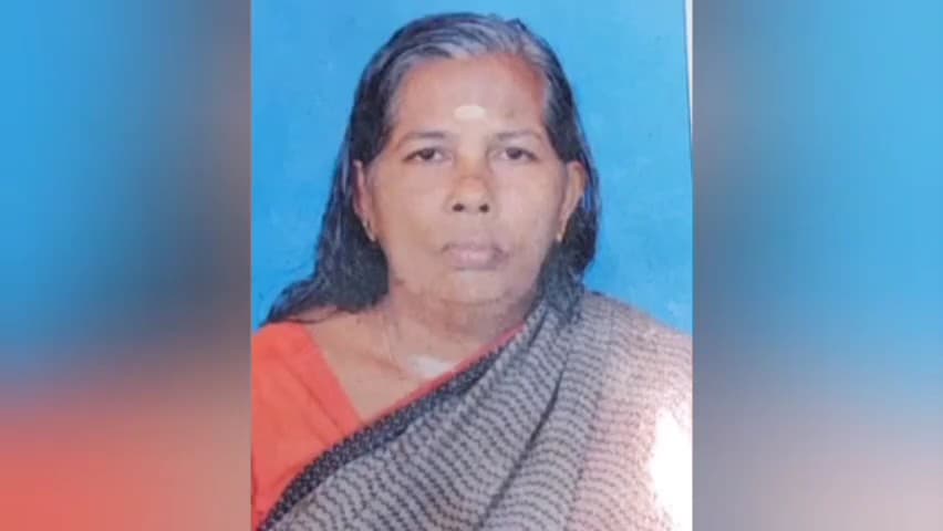 விளவங்கோடு: குஞ்சாலுவிளையில் வீட்டில் இருந்த மூதாட்டி தீயில் கருகி உயிரிழப்பு.