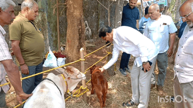 ಶಿರಸಿ: ತೋಟಗಾರಿಕೆ ಇಲಾಖೆಯ ಆವರಣದಲ್ಲಿ ಹಾಲು ಕರೆಯುವ ಸ್ಪರ್ಧೆ ಗೆ ಶಾಸಕ ಭೀಮಣ್ಣ ನಾಯ್ಕ ಚಾಲನೆ