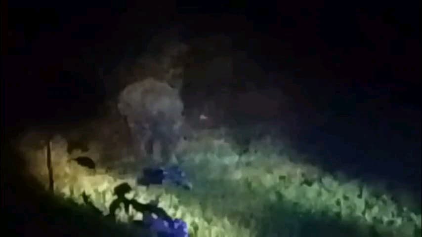 जैतहरी: 57 दिनों से हाथियों का आतंक: रात में तोड़ा घर, परिवार बाल-बाल बचा