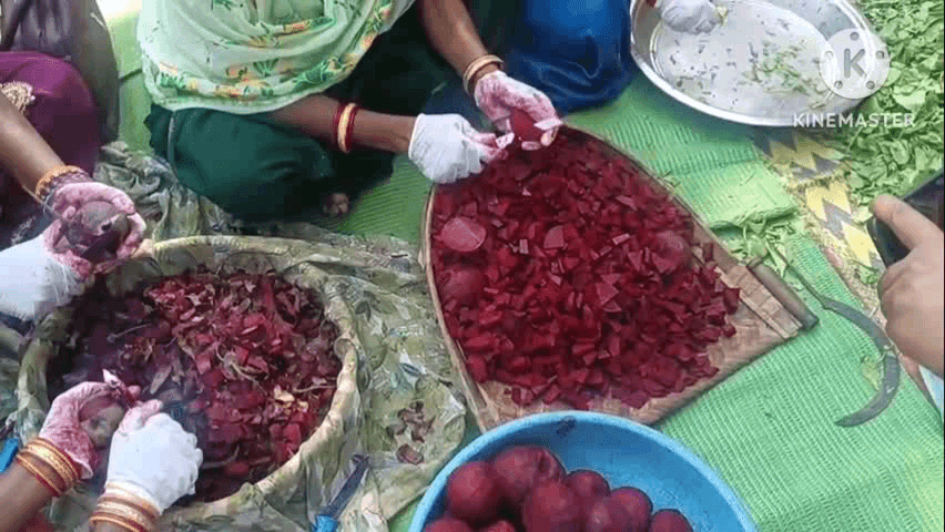 पोड़ी उपरोड़ा: पोड़ी-उपरोड़ा में महिलाओं ने तैयार किया हर्बल गुलाल, चुकंदर, पालक और हल्दी से बने रंगों की बाजार में बढ़ी मांग