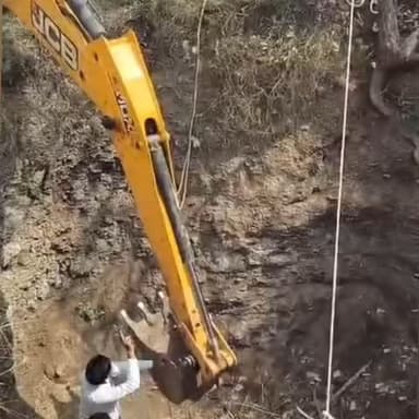 पचोर: दराना गांव में सुख कुआं में गिरी गाय, पुलिस और ग्रामीणों ने सुरक्षित बाहर निकाला