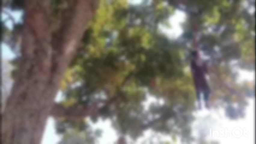 करतला: उरगा थाना क्षेत्र में 16 साल की लड़की ने लगाई फांसी, क्षेत्र में फैली सनसनी