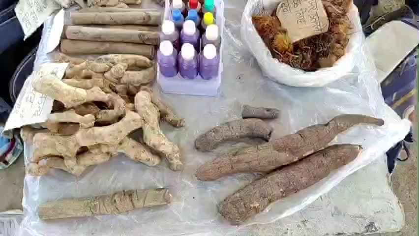 तामिया: पातालकोट: प्राकृतिक इलाज के लिए मध्य प्रदेश में प्रसिद्ध, जड़ी बूटियों से मिलती है बीमारियों से मुक्ति