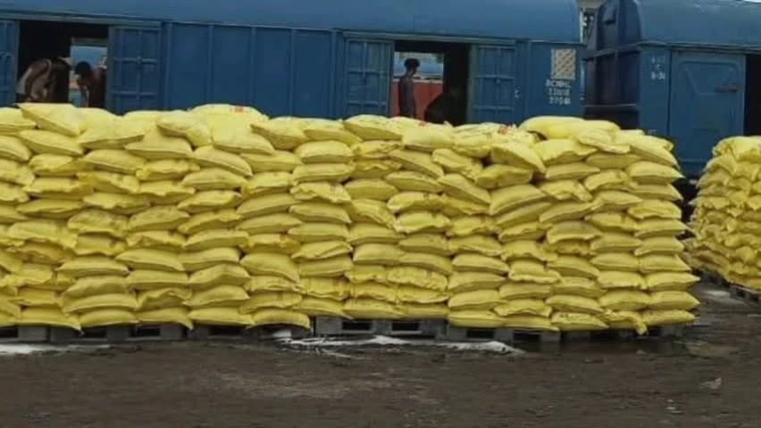 बड़वारा: बड़वारा व मझगवा की सरकारी खाद दुकानों पर पहुंचा यूरिया खाद, किसानों को जरूरत के अनुसार मिलेगी पर्याप्त खाद