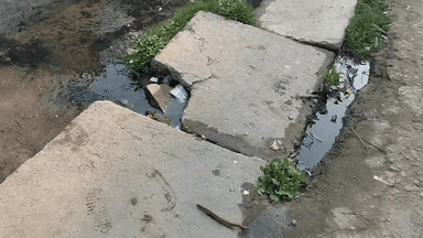 महाराजगंज जिले के ब्लॉक निचलौल के ग्राम सभा बैठवलिया में स्वच्छ भारत अभियान का हाल सफाई कर्मचारी नदारत।।