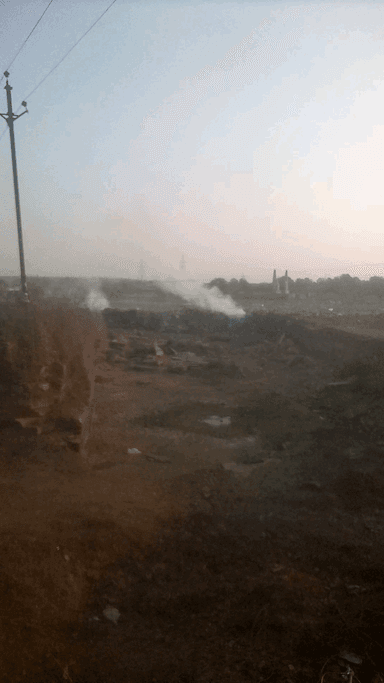 तमरपुरा चंदेरीमें यह कचरा डालने से बच्चों बीमार हो रहा है और यहां पर गाय मरे हुए   डली हुई है वह भीखुले में