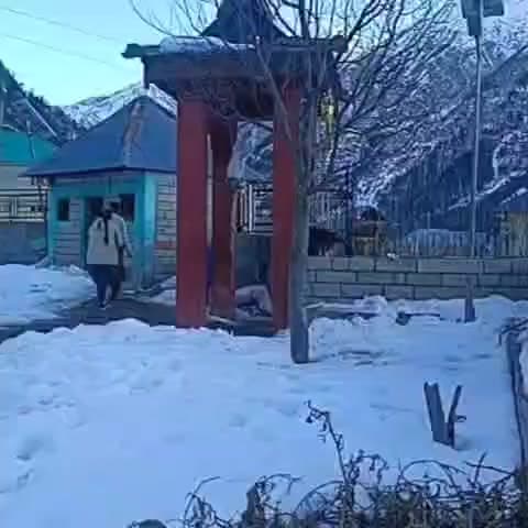 सांगला: ऊँचाई वाले ग्रामीण क्षेत्रों में अभी भी जमी हुई बर्फ, ठंड के कारण पानी हो रहा है जाम