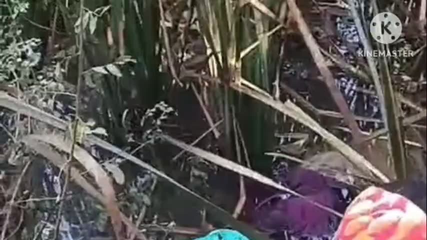 মগরাহাট ২: মোহনপুরের ব্রিজের নিচে জলাশয় থেকে উদ্ধার অজ্ঞাত পরিচয় মহিলার মৃতদেহ তদন্তে মগরাহাট থানার পুলিশ