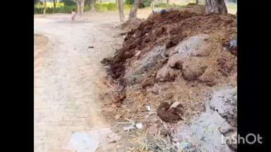मुसाफिरखाना: मुख्य मार्ग पर दबंगों का कब्जा, ग्रामीणों ने प्रधान और VDO से लगाई गुहार