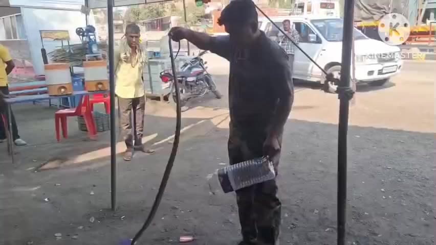 वरला: बिजासन किराना दुकान में घुसा घोड़ा पछाड़, मचा हड़कंप, सर्प मित्र अंकित जैन ने रेस्क्यू कर जंगल में छोड़ा