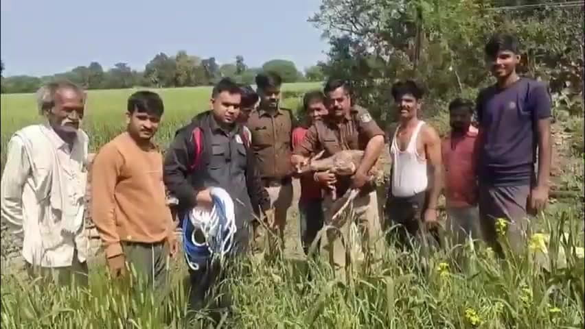 जैसीनगर: ग्राम सेमराघाट में कुएं में गिरा हिरण का बच्चा, डायल 112 टीम ने देवदूत बनकर किया सुरक्षित रेस्क्यू