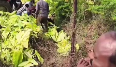 సంతనూతలపాడు: నాగులుప్పలపాడు మండలం మద్దిరాలపాడు వద్ద అదుపుతప్పి బోల్తాపడ్డ ట్రాక్టర్, ఓ మహిళ పులి మృతి, మరో ముగ్గురికి గాయాలు