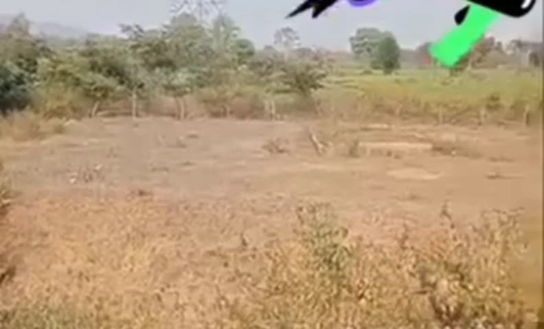 बहोरीबंद: मोहनिया नीम में श्मशान घाट केवल कागजों पर, योजनाएं धरातल पर नहीं