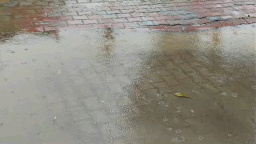मांगरौल: सीसवाली और आसपास के क्षेत्रों में बुधवार सुबह माउठ की बारिश से किसानों की चिंता बढ़ी