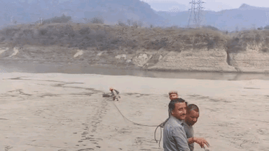 नमहोल: सतलुज नदी तट पर दलदल में फंसे सांभर को सुरक्षित निकाला गया