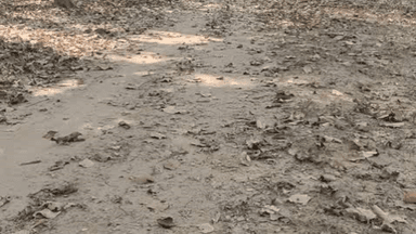 मानपुर: ग्रामीण सड़कों के लिए बजट मंजूर, महामन से मैरी और धमोखर से पठारी तक बनेगी सड़क