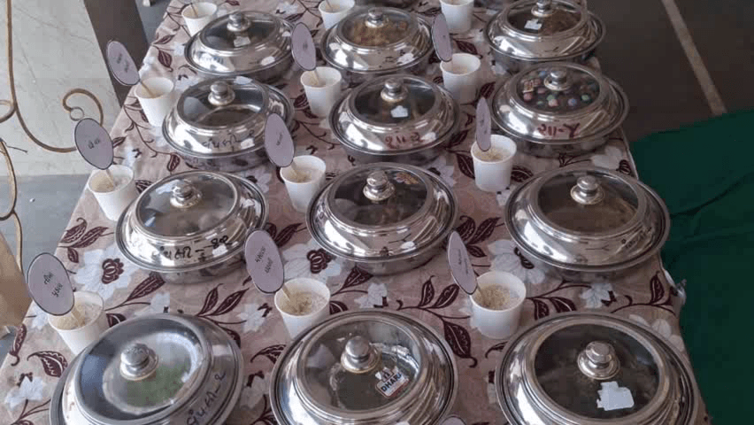 વંથળી: વંથલી ખાતે કિશોરી મેળો –૨૦૨૬: સુપોષિત, સશક્ત અને આત્મનિર્ભર કિશોરીઓ માટે માર્ગદર્શન અને વાનગી નિદર્શન નું આયોજન કરાયું