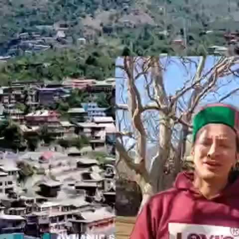 सांगला: सांगला में आयोजित होने वाले हॉली उत्सव में कई नए नियम लागू होंगे, हितेश नेगी ने दी जानकारी