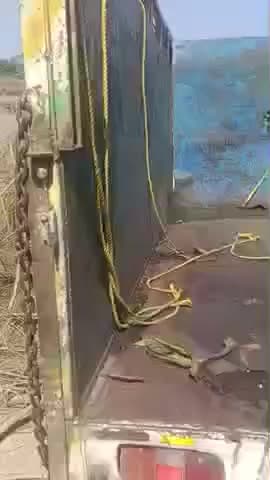 tapkara pulish ne pakda gauw mata ko le ja rahe the