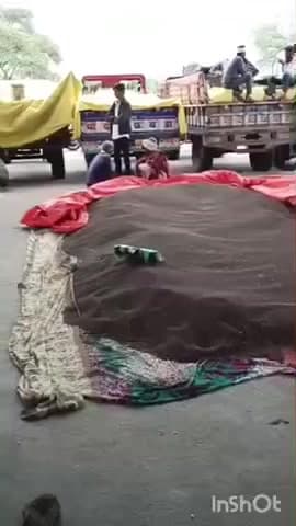 छबड़ा: छबड़ा कृषि उपज मंडी में जींस की नीलामी के लिए पहुंचे दूर-दराज के किसान