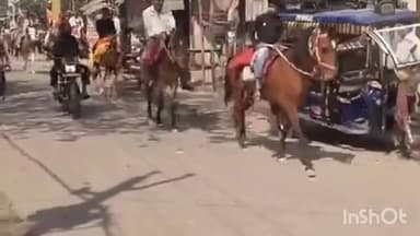 लहलादपुर: हरपुरकोठी में काली माता मंदिर की पुनः स्थापना पर भव्य कलश यात्रा
