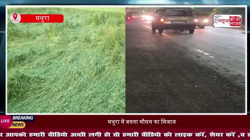 बेमौसम बारिश से किसानों की बढ़ी चिंता, गेहूं-सरसों की फसलें खेतों में बिछीं
#MathuraWeather #UnseasonalRain
