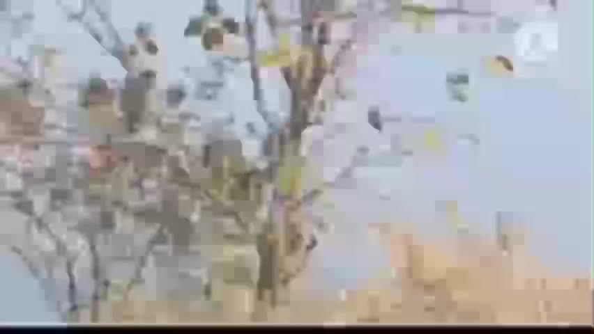 घंसौर: झारखंड: टेकरी धाम सन्यासी आश्रम इन दिनों श्रद्धालुओं के लिए आकर्षण का केंद्र बना