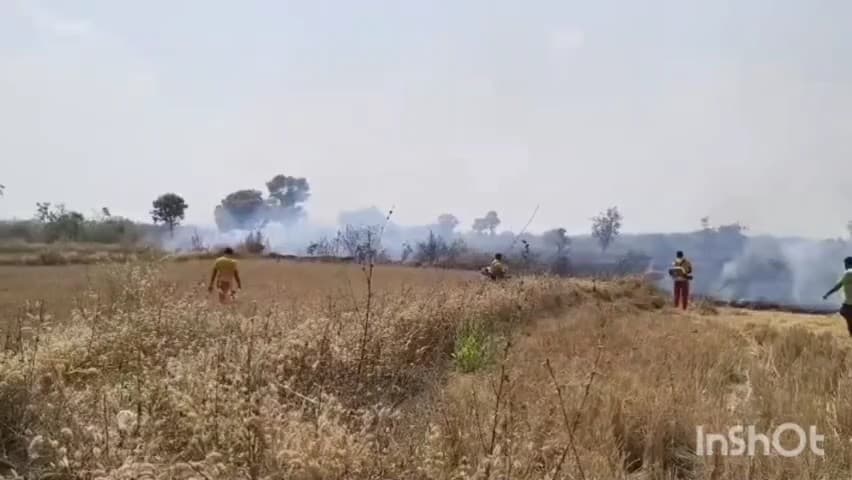 ବୀରମହାରାଜପୁର: ଆପଟନୂଆଗଡ ଗାଁ ମୁହାଁ ହେଉଥିବା  ବିଲ  ନିଆଁକୁ ଆୟତ୍ତ କଲା ବୀରମହାରାଜପୁର ଅଗ୍ନିଶମ ବାହିନୀ