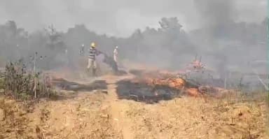 పుంగనూరు: యుఎన్ఆర్ సర్కిల్ వద్ద మామిడి తోటలో అగ్నిప్రమాదం. మంటలను అదుపులో తెచ్చిన ఫైర్ సిబ్బంది.