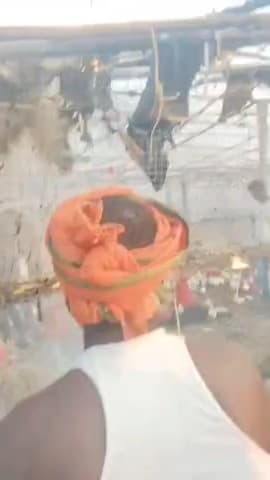 बेलदौर: बलथी गांव के पाल्ट्री फार्म में आग लगने से दर्जनों मुर्गे जलकर मरे