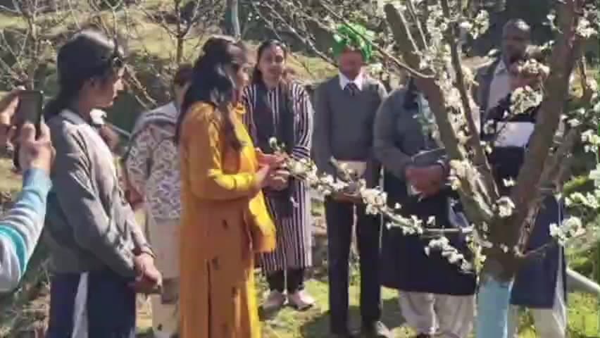 निहरी: उपमंडल सुंदरनगर के जयदेवी स्कूल के विद्यार्थियों को बागवानी की जानकारी दी गई, एचपी शिवा क्लस्टर खगराओं का किया दौरा