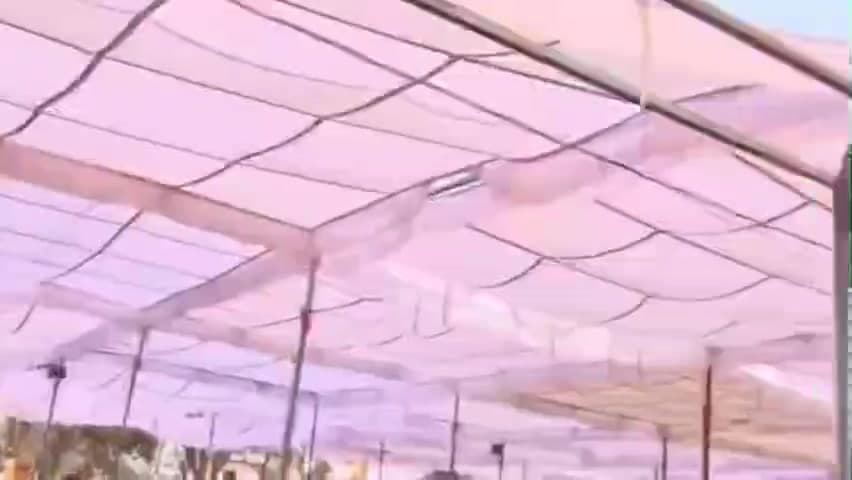 दलौदा: कल 20 फरवरी को बेहपुर की रोटी राम गौशाला में 133 कन्याओं का सर्व समाज सामूहिक विवाह होगा