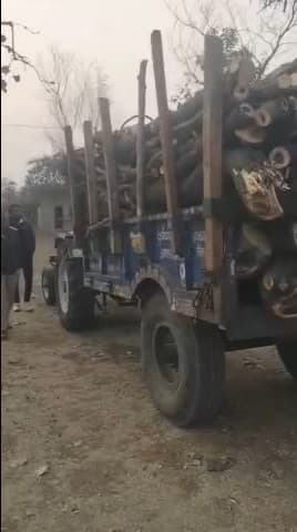 नरसिंहगढ़: कुरावर में पुलिस और वन विभाग ने अवैध लकड़ी से भरी ट्रैक्टर-ट्रॉली ज़ब्त की, मामला दर्ज