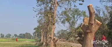 हरलाखी: बिटुहर मुशहरी में हरे सरकारी पेड़ काटने पर हरलाखी थाना में 20 महिलाओं पर मामला दर्ज