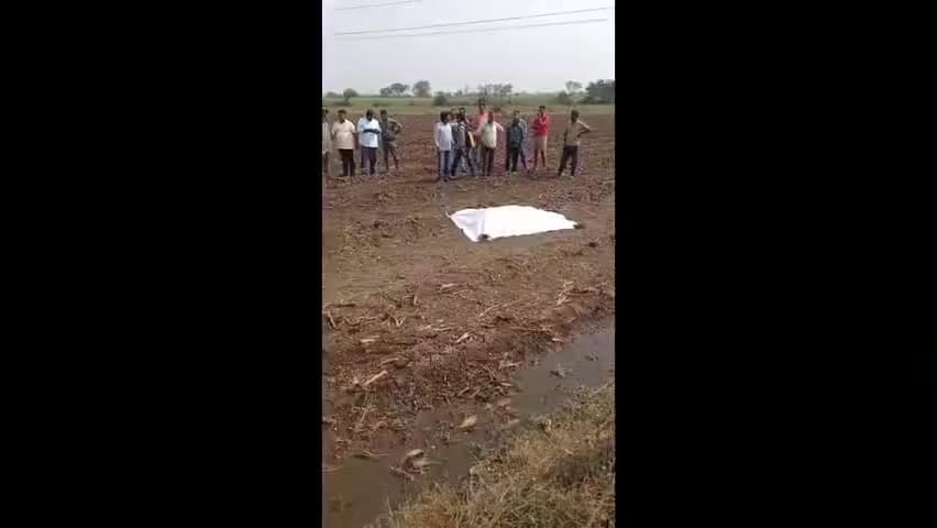 માંડવી: બૌધાન ગામે દીપડાએ ખેડૂતને મોતને ઘાટ ઉતાર્યો