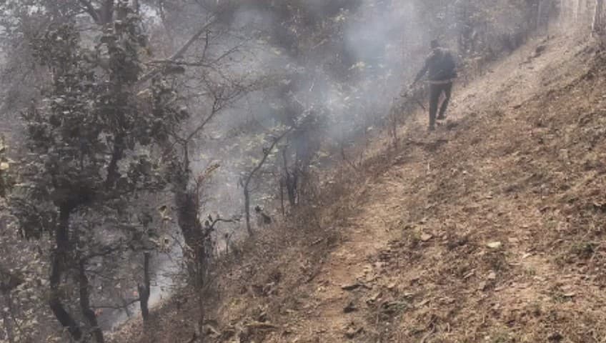 चितरंगी: सिंगरौली जिले के कुर्सा-करथूआ मार्ग पर जंगल में भीषण आग, स्थानीय लोगों ने पाया काबू