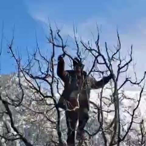 कल्पा: ज़िले के निचले क्षेत्रों में पिघली बर्फ, बागवानों ने बागवानी क्षेत्र में काम करना शुरू किया