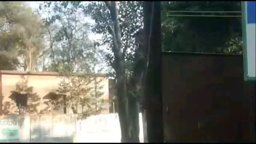यावल: भालोद या गावातून २८ वर्षीय तरुणी झाली बेपत्ता, फैजपुर पोलीस ठाण्यात हरवल्याची तक्रार
