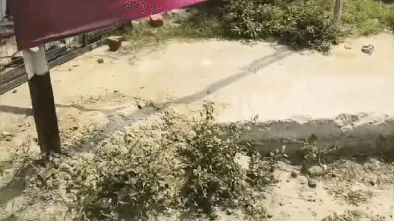 திருவள்ளூர்: கடம்பூர் ஊராட்சியில் மழை நீர் வடிகால்வாயில் கழிவு நீர் கலந்து கொசு உற்பத்தியாகி நோய் தொற்று பரவும் அபாயம்.