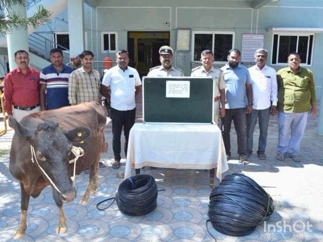 ಕೆ.ಜಿ.ಎಫ್: ಸೀಮೆ ಹಸು ಕಳುವು ಆರೋಪಿಯನ್ನು ಬಂಧಿಸಿದ ಕಾಮಸಮುದ್ರಂ ಪೊಲೀಸರು